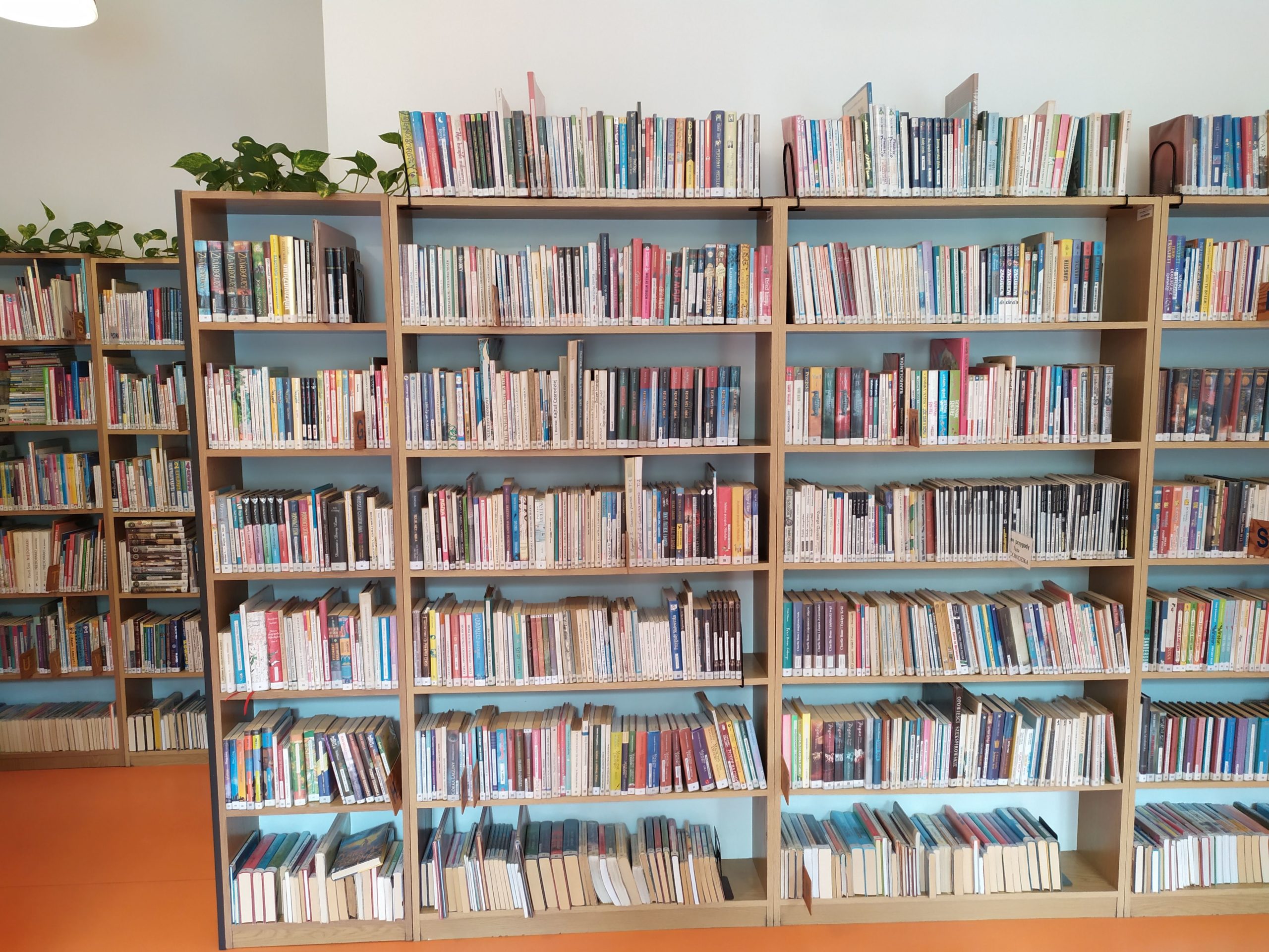 Biblioteka dla dzieci nr 20 widok w środku na regały z książkami
