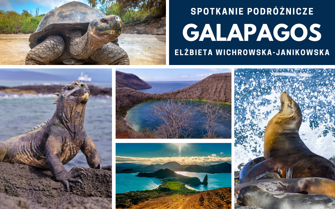 kolaż zdjęć przedstawiających Galapagos