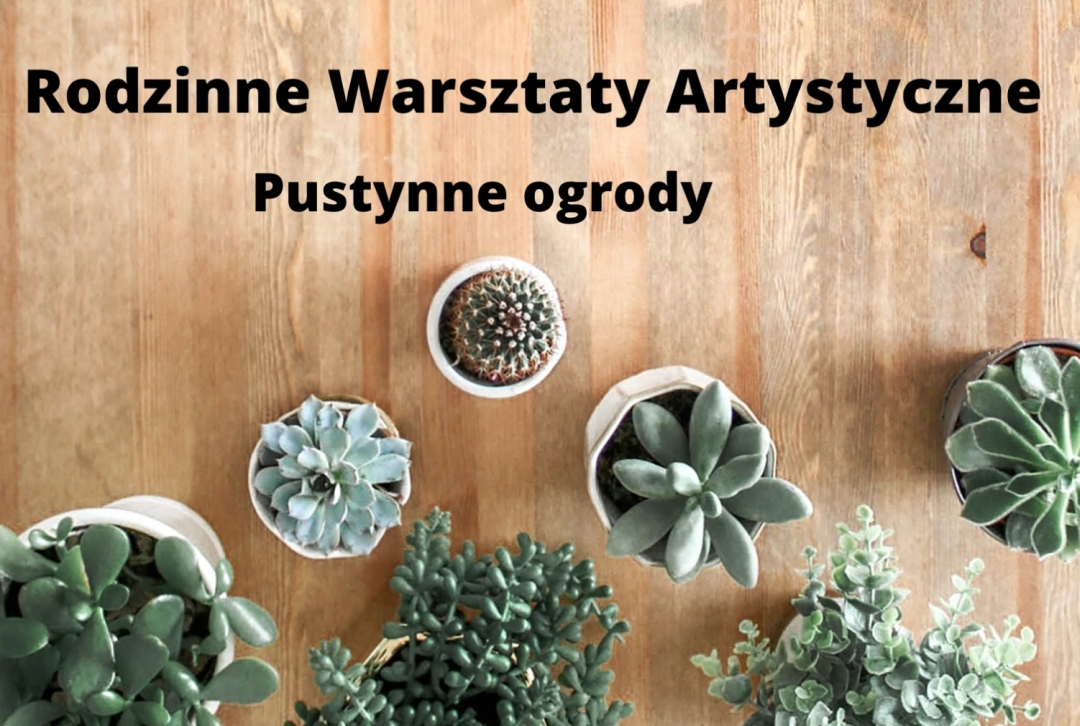Grafika ozdobna przedstawiająca doniczki z sukulentami