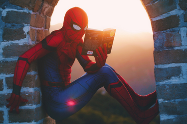 zdjęcie przedstawia postać spidermana czytającego książke na tle zachodzącego słońca