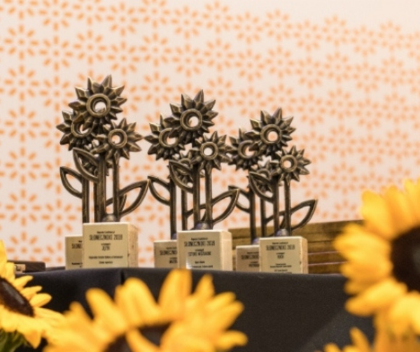 na różowym tle ustawione statuetki nagrody słoneczniki, na dole kwiaty słoneczniki