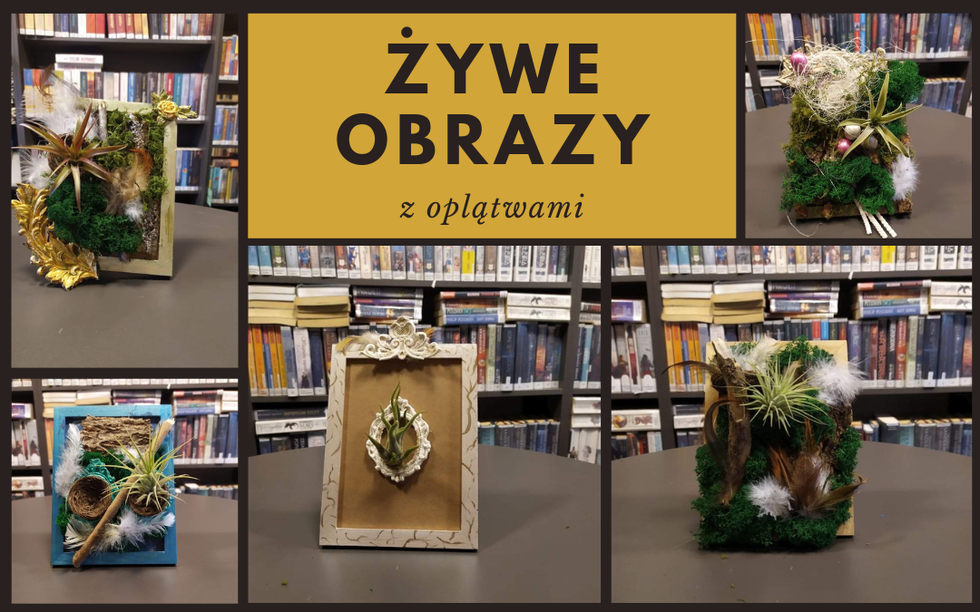 kolaż prac, w ramkach znajdują się ozdoby naturalne oraz oplątwy, na ciemnożółtym tle brązowy napis "Żywe obrazy z oplątwami"