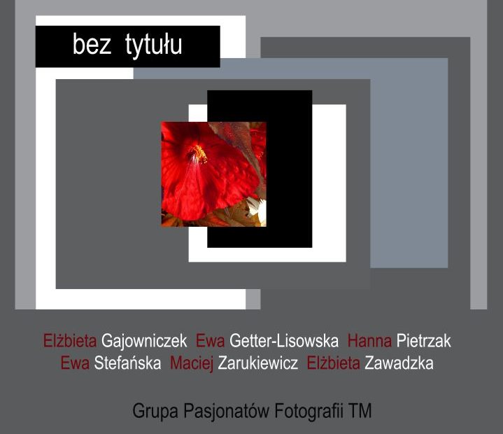 Plakat reklamujący wystawę fotograficzną pod tytułem Bez tytułu w Czytelni Pod Sowami. Grafika w kolorystyce szarości, bieli i czerni. W centralnej części plakatu motyw fotografia z motywem kwiatu w kolorach czerwieni.