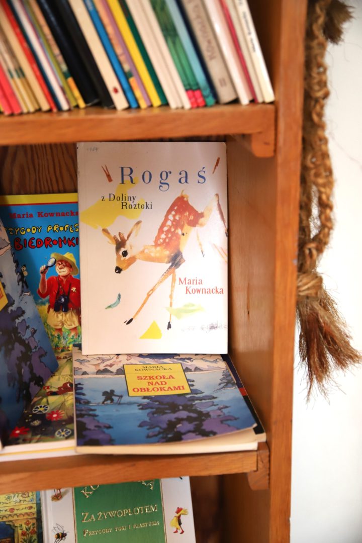 zdjęcie z wnętrza Muzeum Książki Dziecięcej lub inaczej Izby Pamięci Marii Kownackiej, która mieści się na warszawskim Żoliborzu przy ulicy Słowackiego 5/13 m. 74. zdjęcie regału z książkami z książką rogaś z doliny roztoki