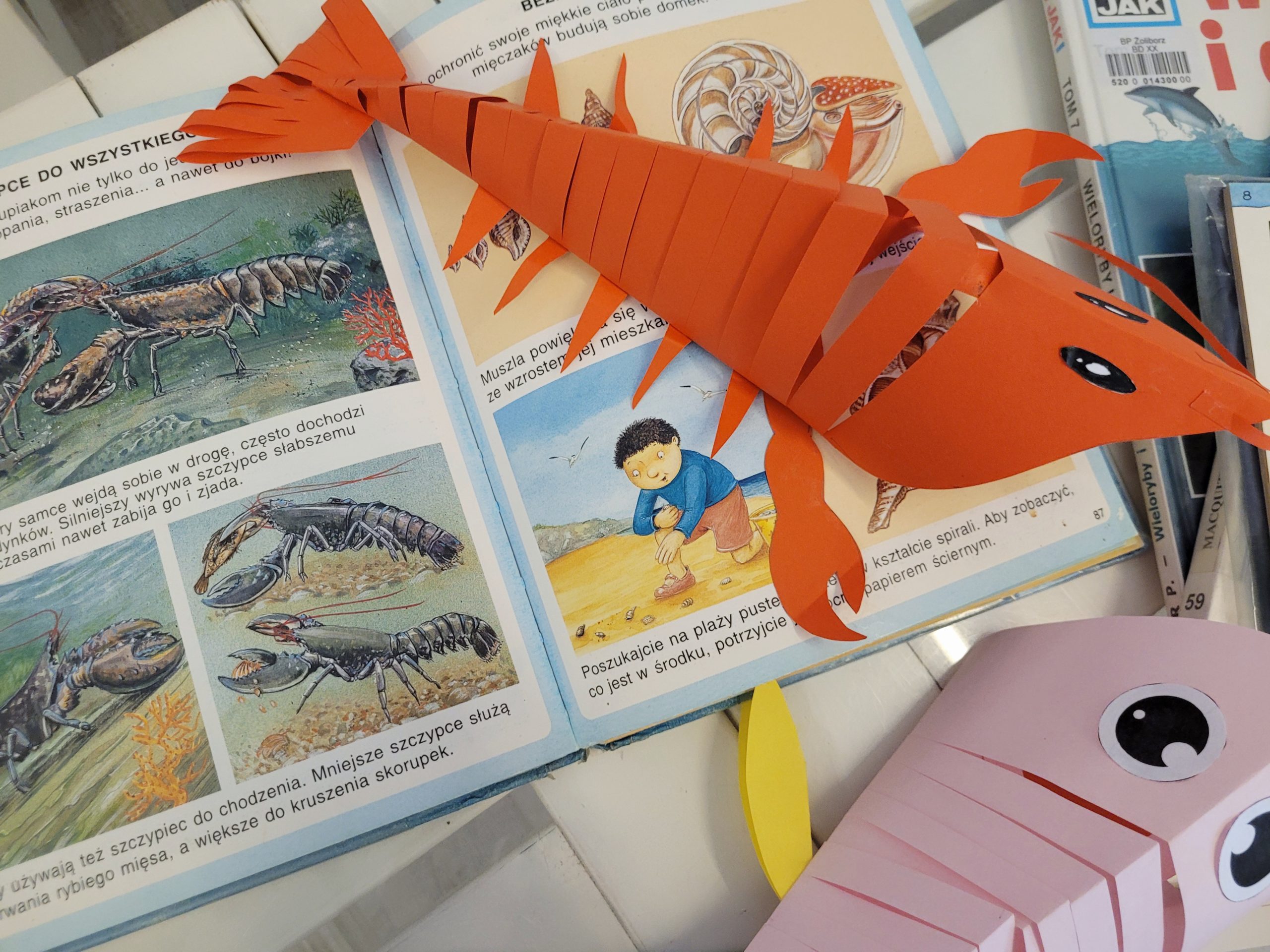 Na stole kolorowe książki dla dzieci z tematem morza oraz czerwona langusta z papieru.