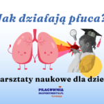 prosta grafika z napisem jak działają płuca warsztaty naukowe dla dzieci oraz ilustracją płuc i dziewczynki patrzącej na jabłko oraz logotypem fundacji pracownia eksperymentu.pl
