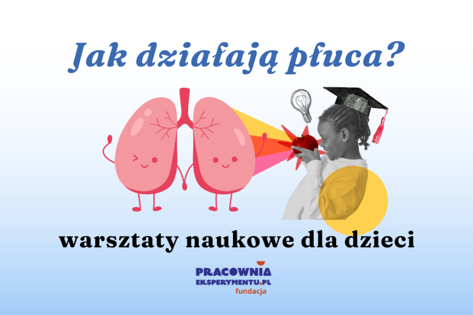 prosta grafika z napisem jak działają płuca warsztaty naukowe dla dzieci oraz ilustracją płuc i dziewczynki patrzącej na jabłko oraz logotypem fundacji pracownia eksperymentu.pl