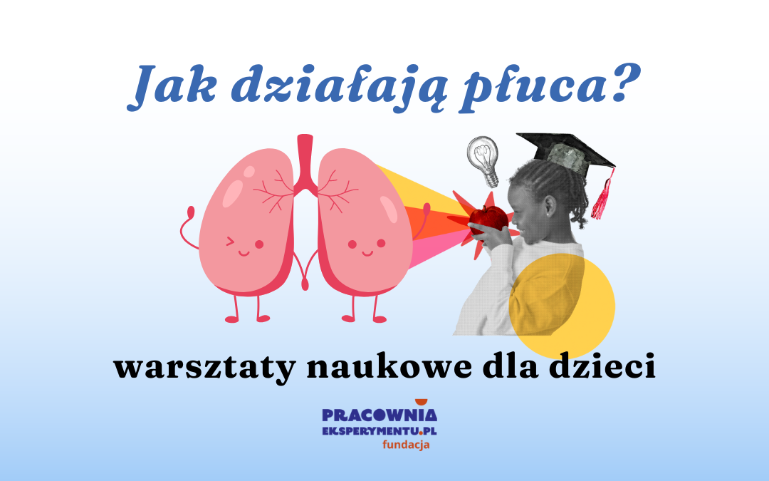 prosta grafika z napisem jak działają płuca warsztaty naukowe dla dzieci oraz ilustracją płuc i dziewczynki patrzącej na jabłko oraz logotypem fundacji pracownia eksperymentu.pl