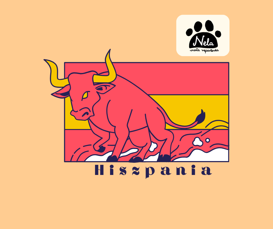 Obrazek wyróżniający. Flaga Hiszpanii oraz rysunek byka. Obok logo "Nela Mała reporterka".