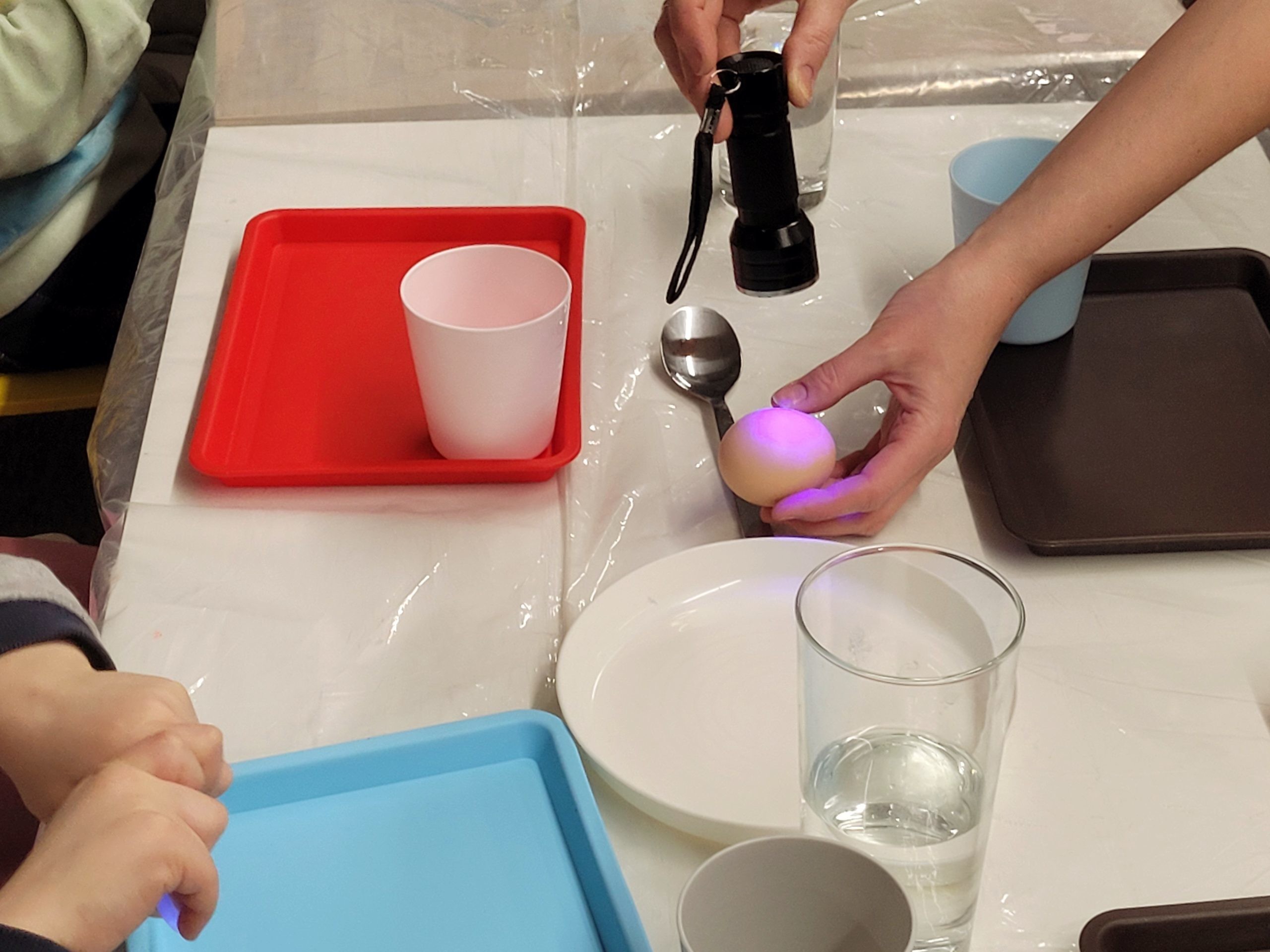 Zbliżenie na ręce dorosłej osoby oświetlającej jajko latarką UV podczas prezentacji doświadczenia edukacyjnego.