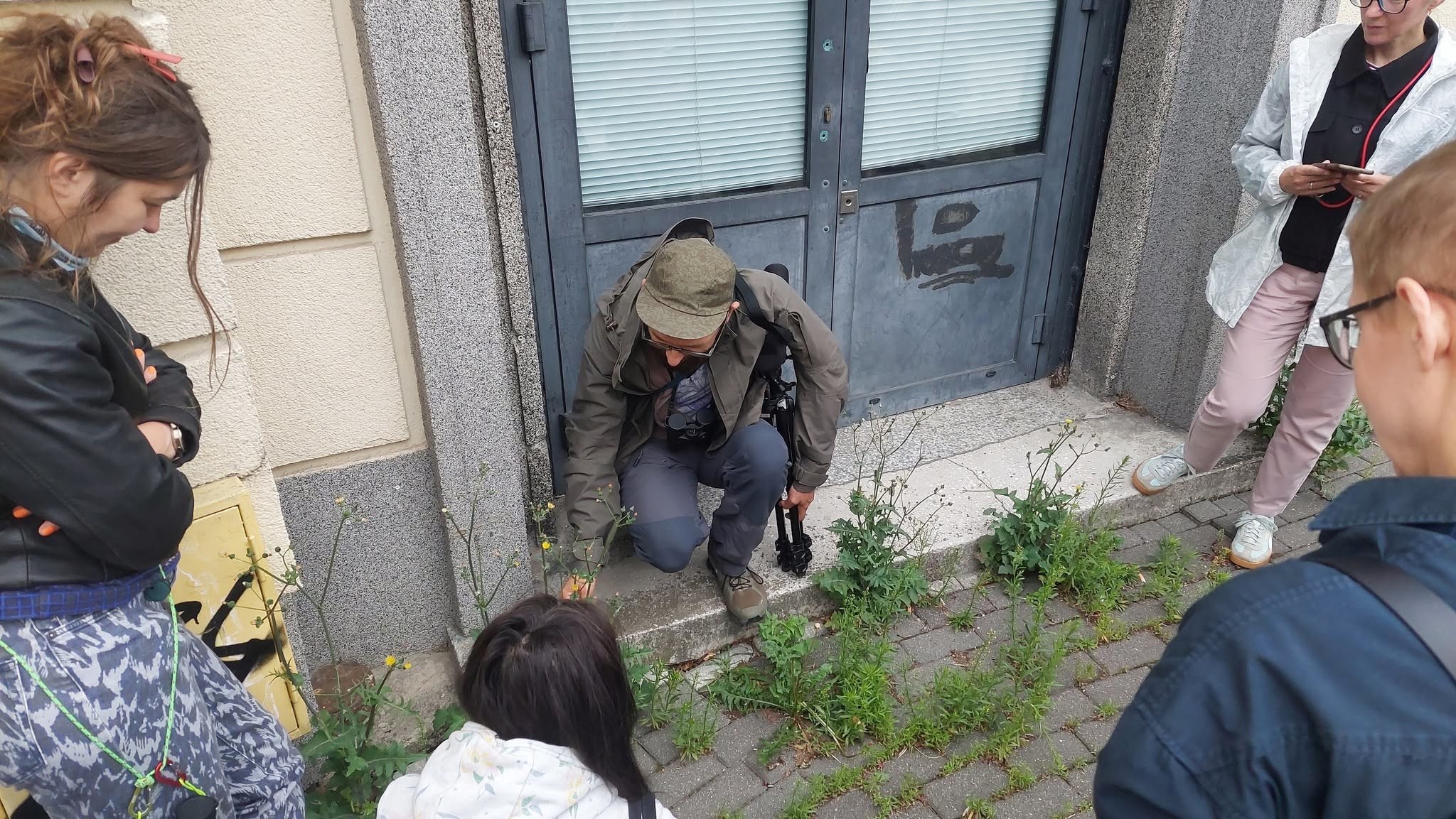 Mężczyzna kuca przy drzwiach do budynku i pokazuje innym rośliny wyrastające ze szczelin chodnika